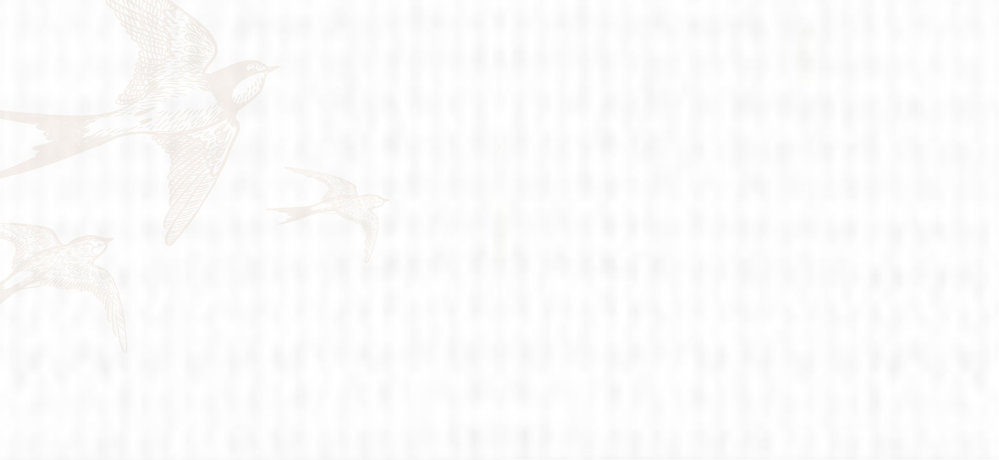 Lifestyle Program Gallery Background Image
