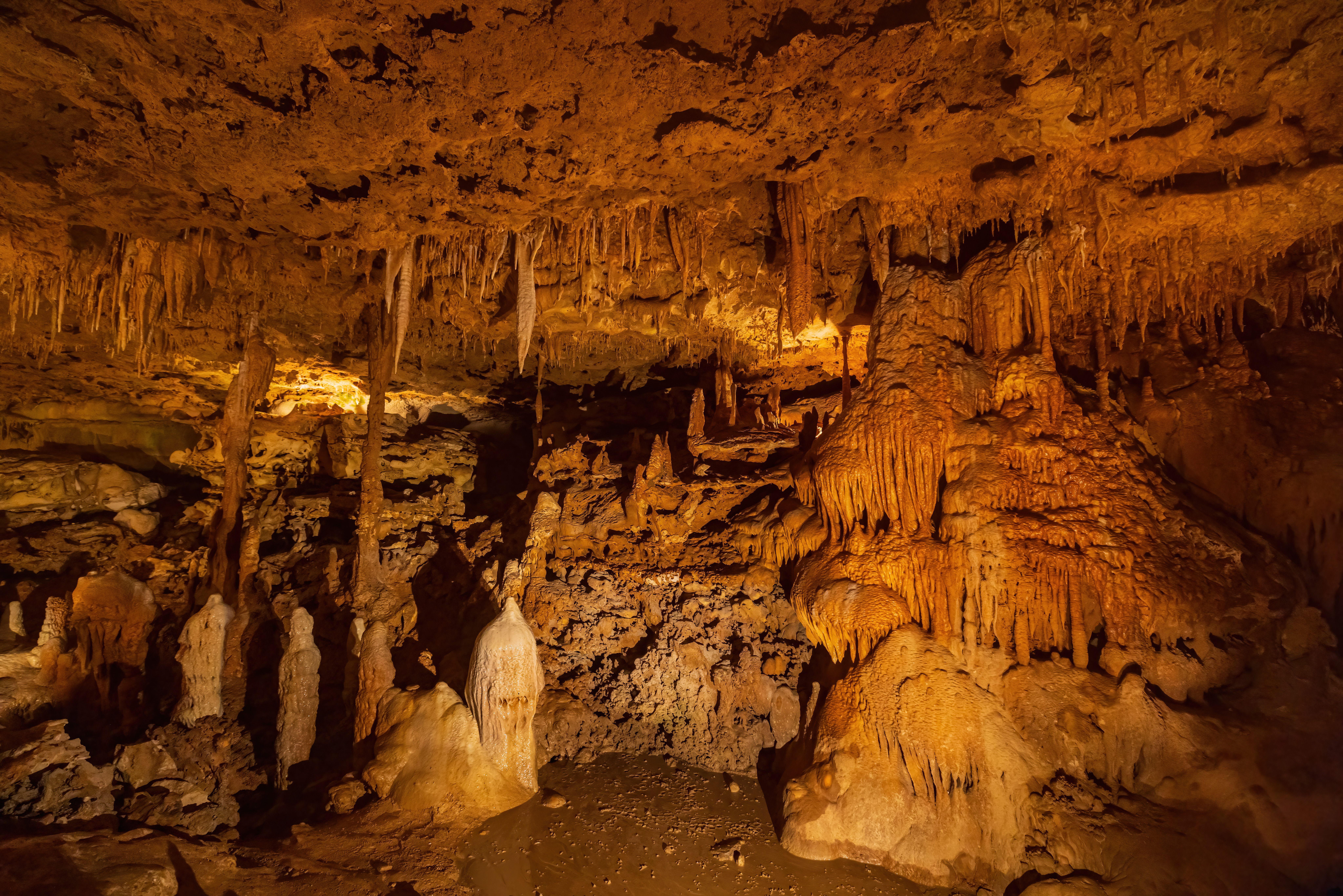 View from inside the Inner Space Caverns, showing stalactites and other cave formations View from inside the Inner Space Caverns, showing stalactites and other cave formations