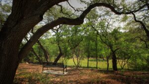 Georgetown is the Best Place to Retire in the Texas Hill Country