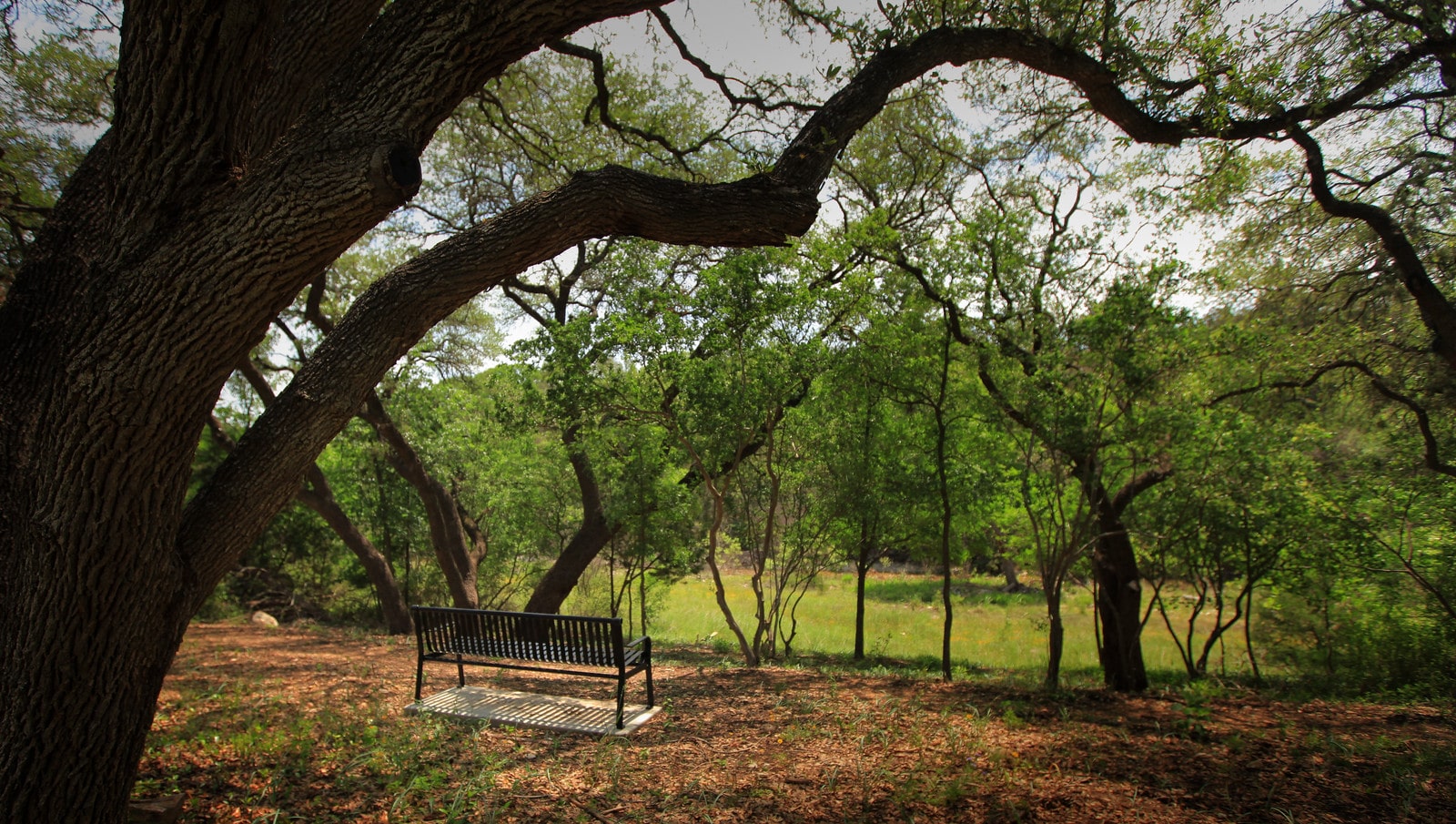 Georgetown is the Best Place to Retire in the Texas Hill Country