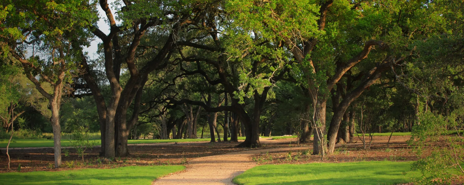 Amenities Image
