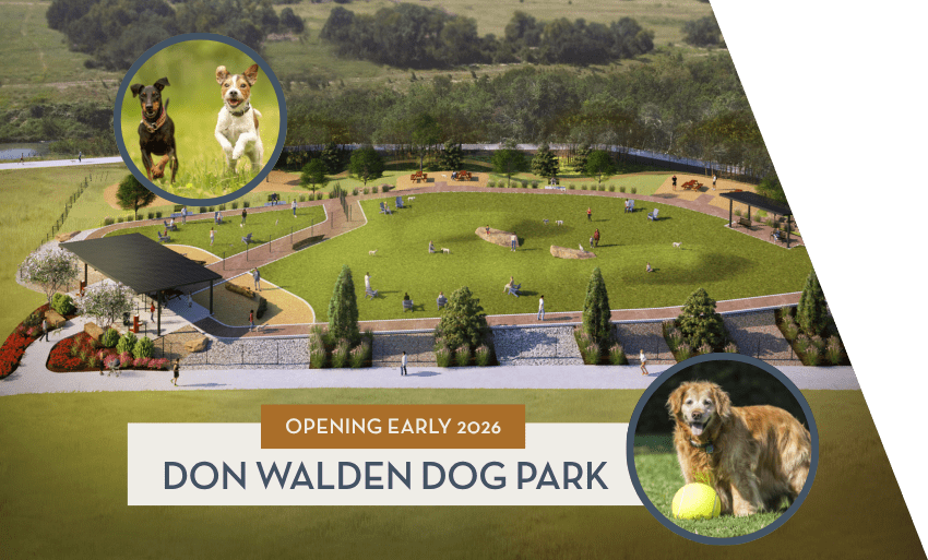 dogpark-850×513